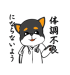 シャンプーする柴犬（個別スタンプ：31）