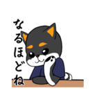 シャンプーする柴犬（個別スタンプ：34）
