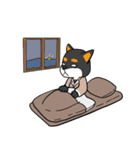 シャンプーする柴犬（個別スタンプ：36）