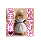 メイド、猫ちゃん【基本の挨拶でも使える】（個別スタンプ：4）