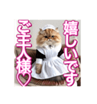 メイド、猫ちゃん【基本の挨拶でも使える】（個別スタンプ：5）