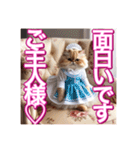 メイド、猫ちゃん【基本の挨拶でも使える】（個別スタンプ：7）