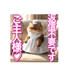 メイド、猫ちゃん【基本の挨拶でも使える】（個別スタンプ：13）
