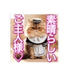 メイド、猫ちゃん【基本の挨拶でも使える】（個別スタンプ：14）