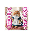 メイド、猫ちゃん【基本の挨拶でも使える】（個別スタンプ：15）