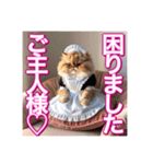 メイド、猫ちゃん【基本の挨拶でも使える】（個別スタンプ：16）