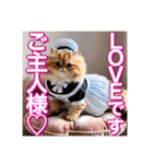 メイド、猫ちゃん【基本の挨拶でも使える】（個別スタンプ：19）