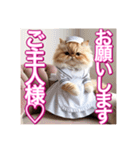メイド、猫ちゃん【基本の挨拶でも使える】（個別スタンプ：24）
