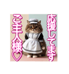 メイド、猫ちゃん【基本の挨拶でも使える】（個別スタンプ：27）