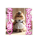 メイド、猫ちゃん【基本の挨拶でも使える】（個別スタンプ：28）