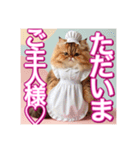 メイド、猫ちゃん【基本の挨拶でも使える】（個別スタンプ：31）