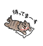 ねことしもべ2  （ねこだけ敬語スタンプ）（個別スタンプ：12）