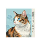猫の挨拶 浮世絵風（個別スタンプ：15）