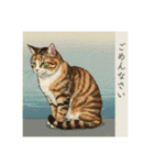 猫の挨拶 浮世絵風（個別スタンプ：31）
