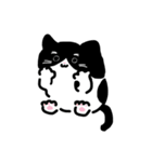 はちわれびより（個別スタンプ：1）