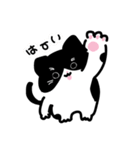 はちわれびより（個別スタンプ：13）