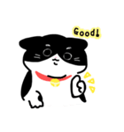 はちわれびより（個別スタンプ：24）