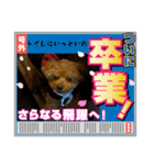 ダジャレだジェ1（個別スタンプ：6）