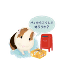道産子モルモットのまるきち‪ ·͜·✲（個別スタンプ：9）