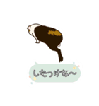 道産子モルモットのまるきち‪ ·͜·✲（個別スタンプ：20）