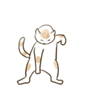 何も言わないネコ（個別スタンプ：2）