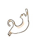 何も言わないネコ（個別スタンプ：6）