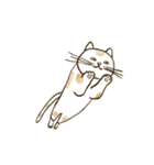 何も言わないネコ（個別スタンプ：11）