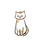 何も言わないネコ（個別スタンプ：15）