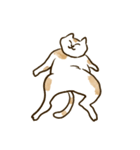 何も言わないネコ（個別スタンプ：16）