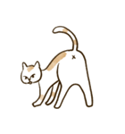 何も言わないネコ（個別スタンプ：18）