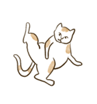 何も言わないネコ（個別スタンプ：19）