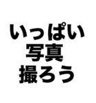 旅行行こう（個別スタンプ：6）