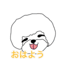 可愛いアニマル顔だけスタンプ（個別スタンプ：1）