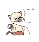 シャム猫のうちわ戦争（個別スタンプ：6）