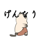 シャム猫のうちわ戦争（個別スタンプ：13）