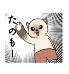 シャム猫のうちわ戦争（個別スタンプ：16）