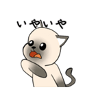 シャム猫のうちわ戦争（個別スタンプ：18）