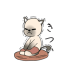 シャム猫のうちわ戦争（個別スタンプ：22）