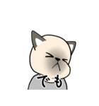 シャム猫のうちわ戦争（個別スタンプ：26）
