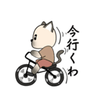 シャム猫のうちわ戦争（個別スタンプ：30）