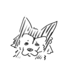 犬種スたんぷ。（個別スタンプ：3）
