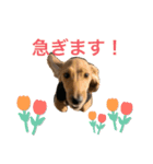 めるとしずく（個別スタンプ：1）