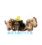 めるとしずく（個別スタンプ：4）