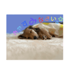 めるとしずく（個別スタンプ：6）