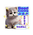 猫ちゃん大集合⭐️英語＆関西弁で日常会話（個別スタンプ：11）