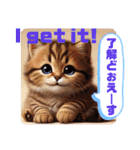 猫ちゃん大集合⭐️英語＆関西弁で日常会話（個別スタンプ：15）