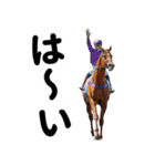 【競馬スタンプ】競走馬と騎手1（個別スタンプ：13）