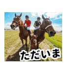 【競馬スタンプ】競走馬と騎手1（個別スタンプ：20）