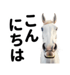 【競馬スタンプ】競走馬と騎手1（個別スタンプ：22）