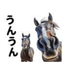 【競馬スタンプ】競走馬と騎手1（個別スタンプ：25）